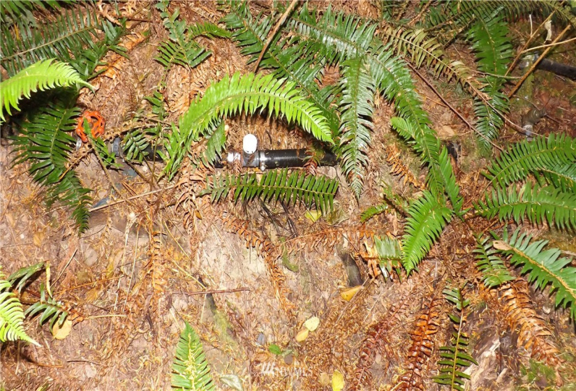 31811 Dotson, Sultan, Washington 98294, ,Residential,For Sale,Cedar Ponds,Dotson,NWM1833051