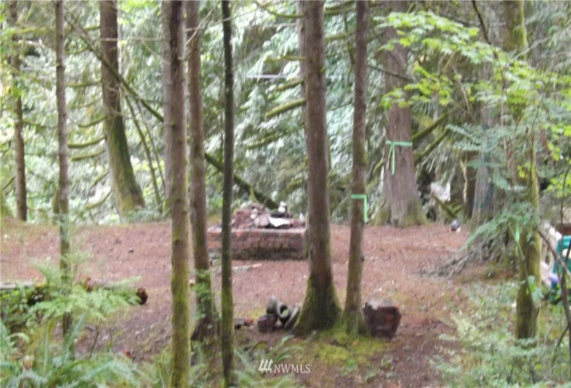 31811 Dotson, Sultan, Washington 98294, ,Residential,For Sale,Cedar Ponds,Dotson,NWM1833051