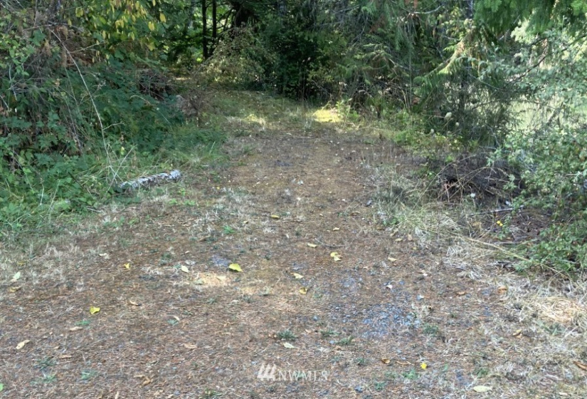 191 Borgeson, Quilcene, Washington 98376, ,Land,For Sale,Borgeson,NWM1832557