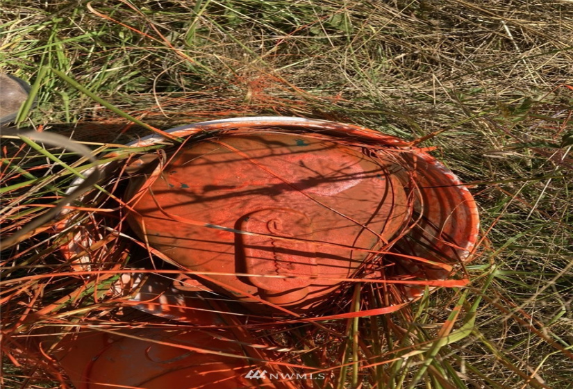 191 Borgeson, Quilcene, Washington 98376, ,Land,For Sale,Borgeson,NWM1832557