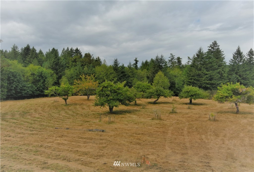 191 Borgeson, Quilcene, Washington 98376, ,Land,For Sale,Borgeson,NWM1832557