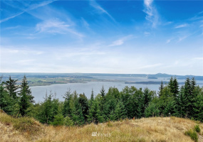 887 Chuckanut Ridge, Bow, Washington 98232, 3 Bedrooms Bedrooms, ,1 BathroomBathrooms,Residential,For Sale,Chuckanut Ridge,NWM1833124