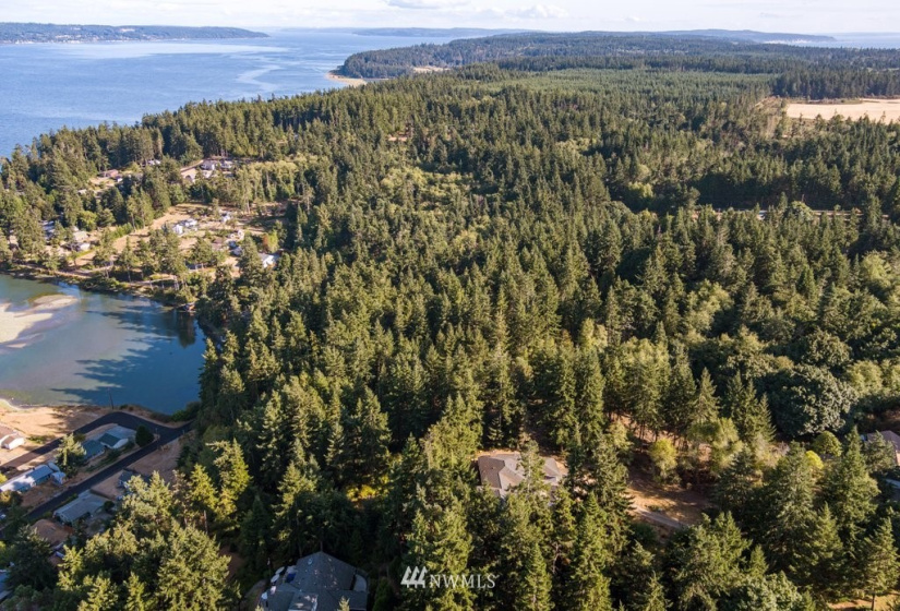 0 Pheasant Run Road, Coupeville, Washington 98239, ,Land,For Sale,Pheasant Farm Acres,Pheasant Run Road,NWM1828460