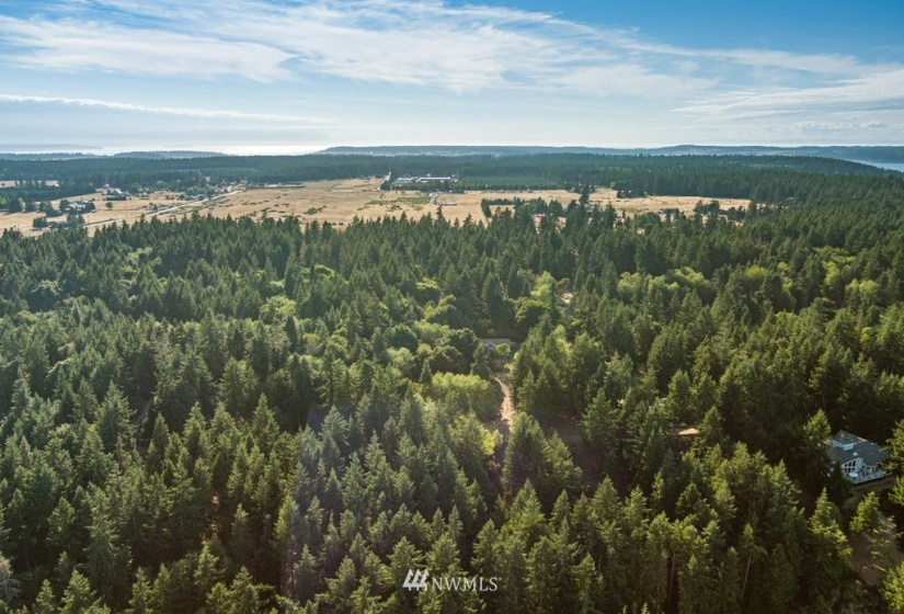 0 Pheasant Run Road, Coupeville, Washington 98239, ,Land,For Sale,Pheasant Farm Acres,Pheasant Run Road,NWM1828460