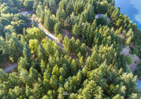 0 Pheasant Run Road, Coupeville, Washington 98239, ,Land,For Sale,Pheasant Farm Acres,Pheasant Run Road,NWM1828460
