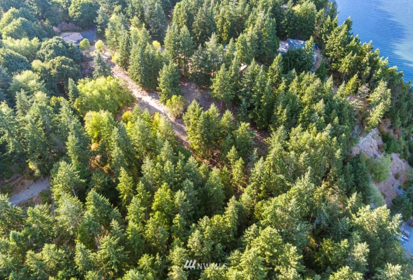 0 Pheasant Run Road, Coupeville, Washington 98239, ,Land,For Sale,Pheasant Farm Acres,Pheasant Run Road,NWM1828460