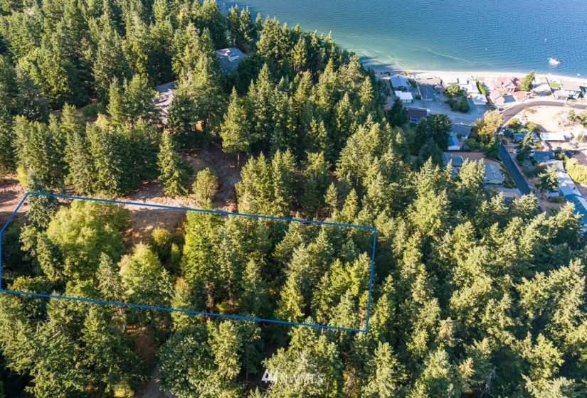 0 Pheasant Run Road, Coupeville, Washington 98239, ,Land,For Sale,Pheasant Farm Acres,Pheasant Run Road,NWM1828460