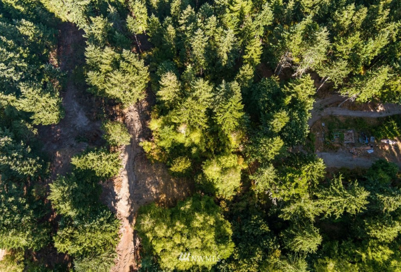 0 Pheasant Run Road, Coupeville, Washington 98239, ,Land,For Sale,Pheasant Farm Acres,Pheasant Run Road,NWM1828460