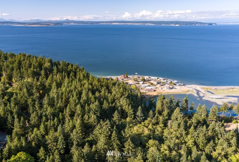 0 Pheasant Run Road, Coupeville, Washington 98239, ,Land,For Sale,Pheasant Farm Acres,Pheasant Run Road,NWM1828460