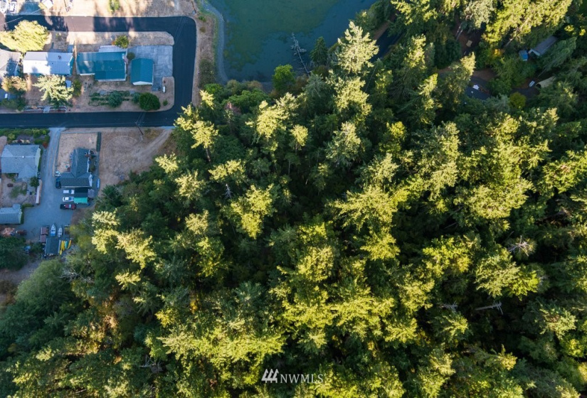 0 Pheasant Run Road, Coupeville, Washington 98239, ,Land,For Sale,Pheasant Farm Acres,Pheasant Run Road,NWM1828460