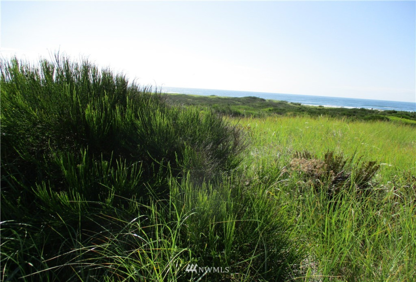 611 Dune Crest, Westport, Washington 98595, ,Land,For Sale,Dune Crest Court,Dune Crest,NWM1831916
