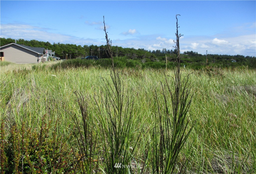 611 Dune Crest, Westport, Washington 98595, ,Land,For Sale,Dune Crest Court,Dune Crest,NWM1831916