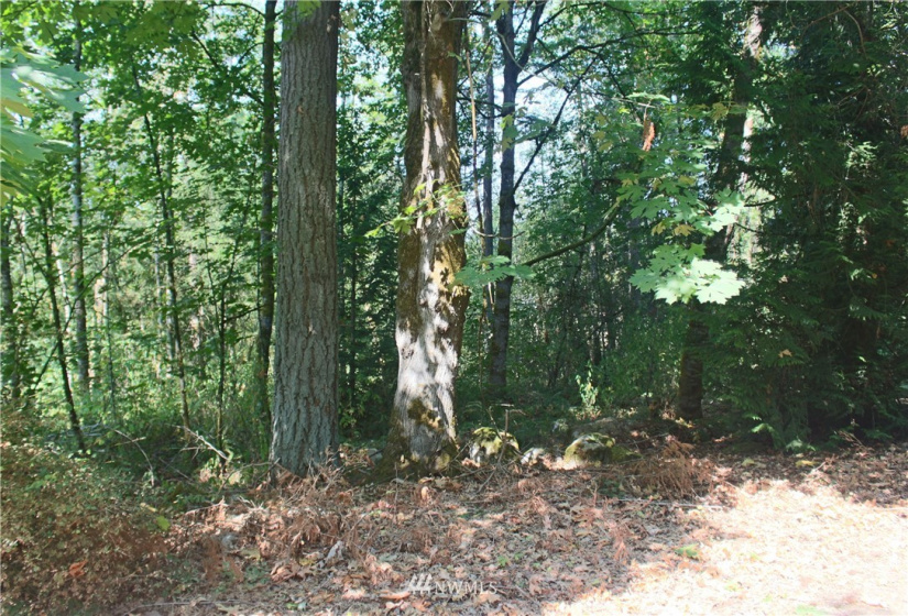 0 xxx 36th, Edgewood, Washington 98372, ,Land,For Sale,36th,NWM1831596