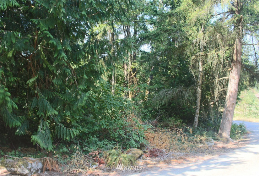0 xxx 36th, Edgewood, Washington 98372, ,Land,For Sale,36th,NWM1831596