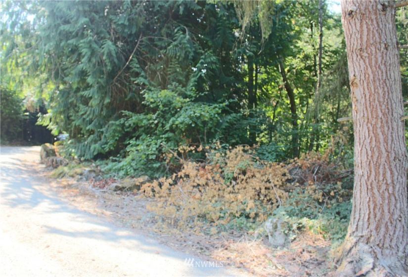 0 xxx 36th, Edgewood, Washington 98372, ,Land,For Sale,36th,NWM1831596