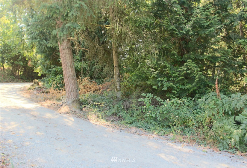 0 xxx 36th, Edgewood, Washington 98372, ,Land,For Sale,36th,NWM1831596