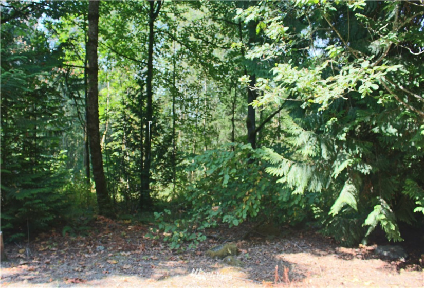 0 xxx 36th, Edgewood, Washington 98372, ,Land,For Sale,36th,NWM1831596
