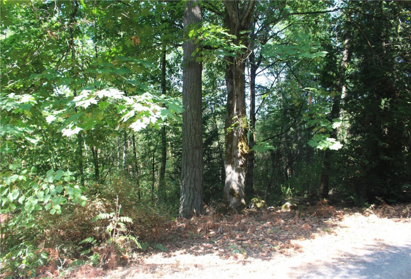 0 xxx 36th, Edgewood, Washington 98372, ,Land,For Sale,36th,NWM1831596