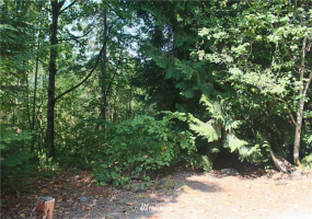 0 xxx 36th, Edgewood, Washington 98372, ,Land,For Sale,36th,NWM1831596