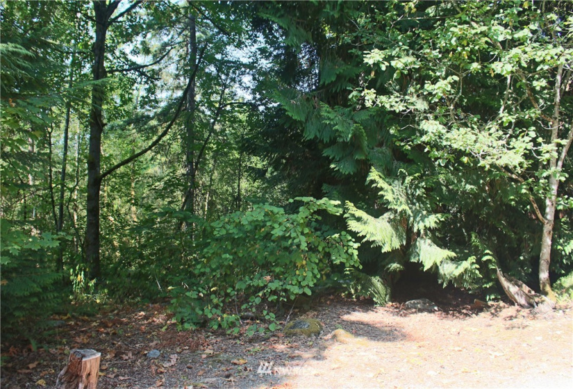 0 xxx 36th, Edgewood, Washington 98372, ,Land,For Sale,36th,NWM1831596