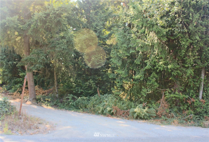 0 xxx 36th, Edgewood, Washington 98372, ,Land,For Sale,36th,NWM1831596