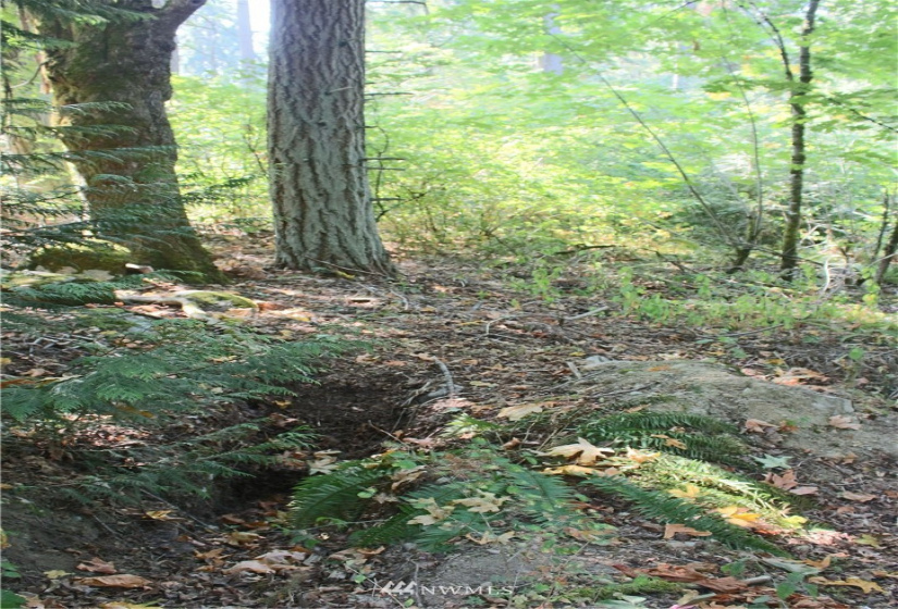 0 xxx 36th, Edgewood, Washington 98372, ,Land,For Sale,36th,NWM1831596