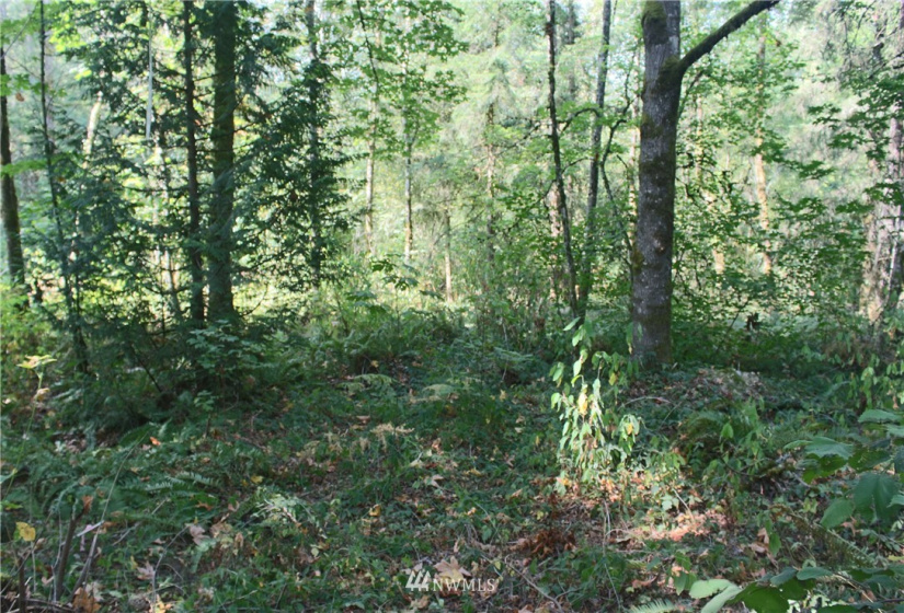 0 xxx 36th, Edgewood, Washington 98372, ,Land,For Sale,36th,NWM1831596