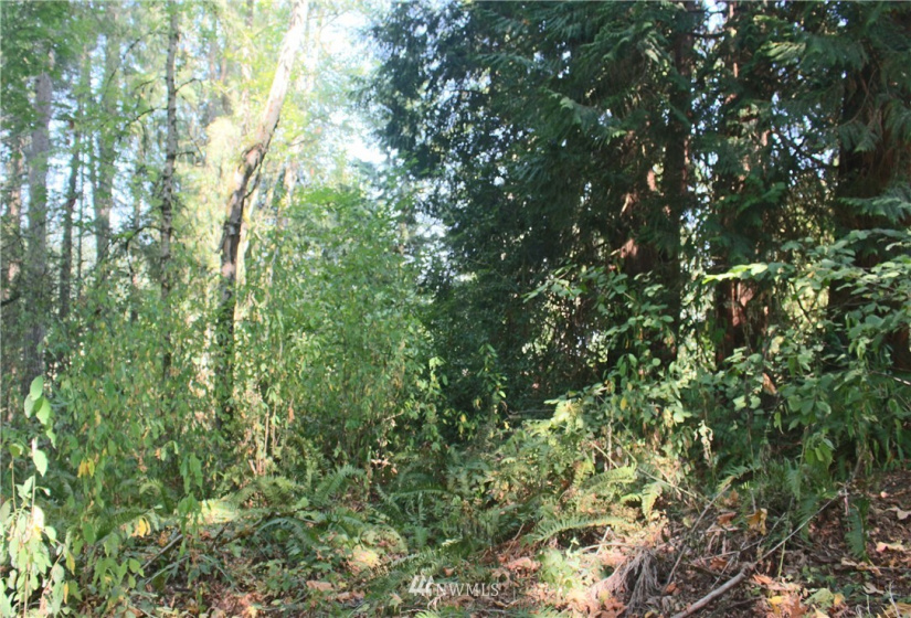 0 xxx 36th, Edgewood, Washington 98372, ,Land,For Sale,36th,NWM1831596