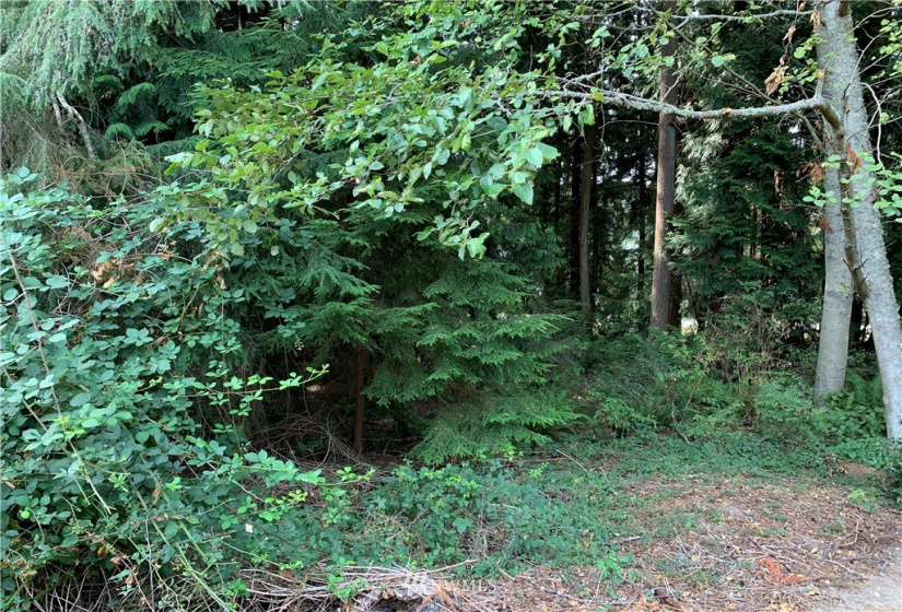 29 April, Langley, Washington 98260, ,Land,For Sale,April,NWM1830246