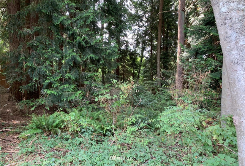 29 April, Langley, Washington 98260, ,Land,For Sale,April,NWM1830246