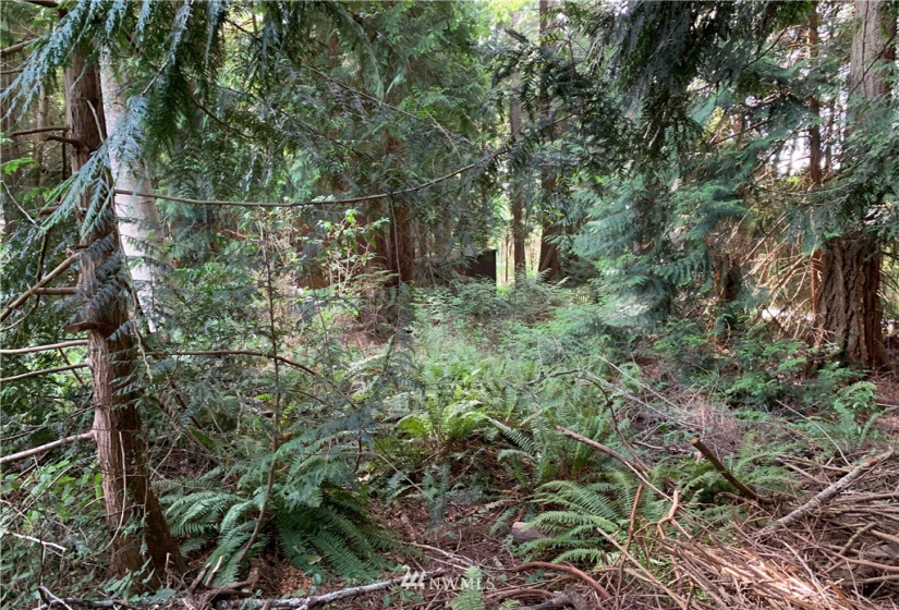 29 April, Langley, Washington 98260, ,Land,For Sale,April,NWM1830246