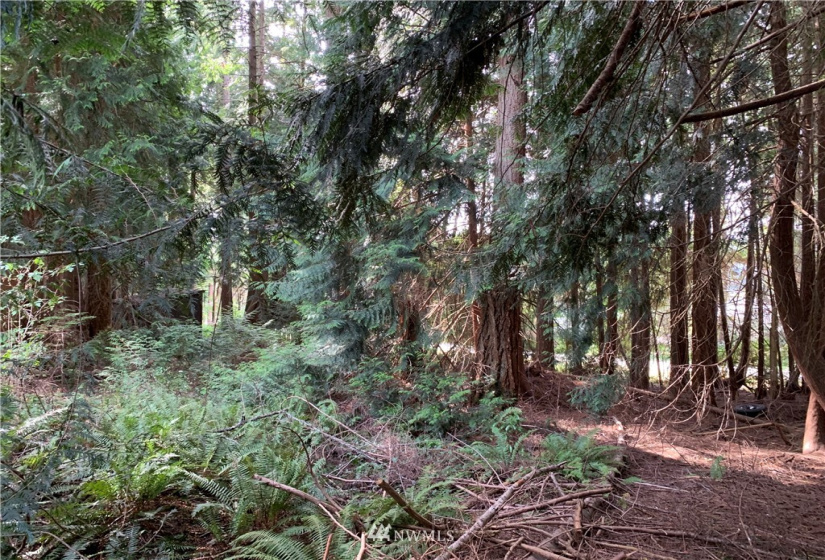 29 April, Langley, Washington 98260, ,Land,For Sale,April,NWM1830246