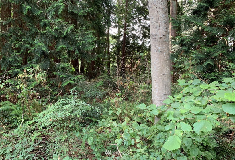 29 April, Langley, Washington 98260, ,Land,For Sale,April,NWM1830246