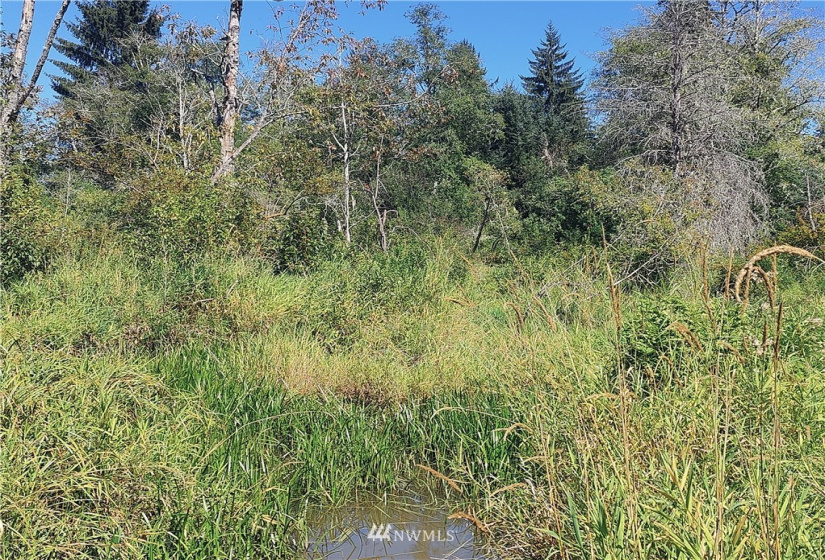 3402 Wishkah, Aberdeen, Washington 98520, ,Land,For Sale,Wishkah,NWM1833605