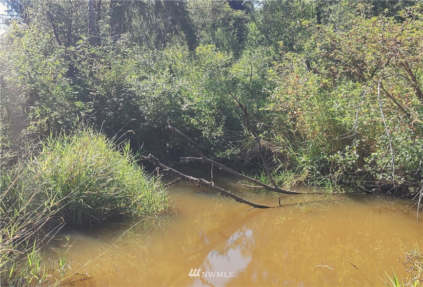 3402 Wishkah, Aberdeen, Washington 98520, ,Land,For Sale,Wishkah,NWM1833605
