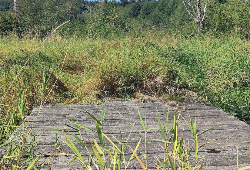 3402 Wishkah, Aberdeen, Washington 98520, ,Land,For Sale,Wishkah,NWM1833605