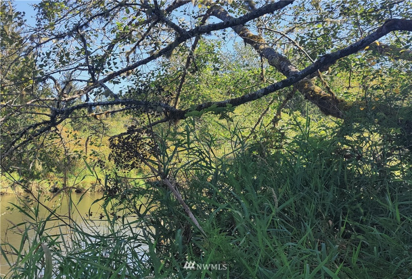 3402 Wishkah, Aberdeen, Washington 98520, ,Land,For Sale,Wishkah,NWM1833605