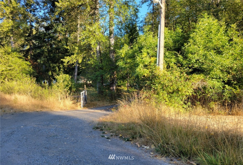 1205 342nd, Roy, Washington 98580, 3 Bedrooms Bedrooms, ,2 BathroomsBathrooms,Residential,For Sale,342nd,NWM1832876