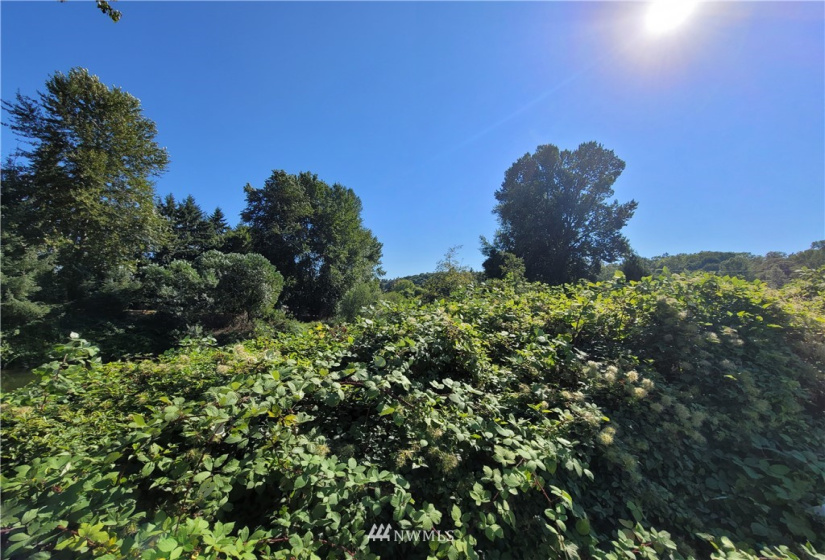 6455 144th, Tukwila, Washington 98168, ,Land,For Sale,144th,NWM1834135