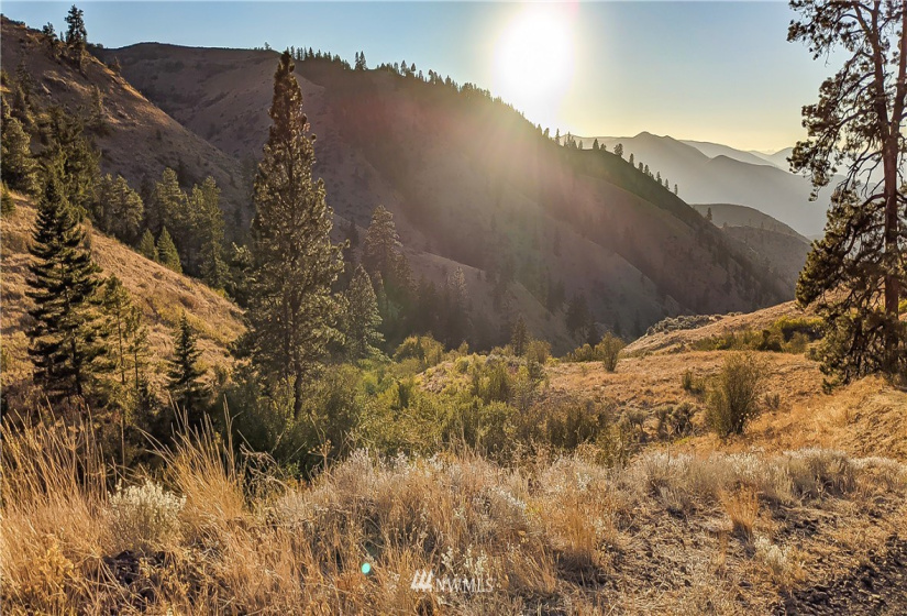 8 Tyee View Loop, Orondo, Washington 98843, 1 Bedroom Bedrooms, ,Residential,For Sale,Tyee View Loop,NWM1831963