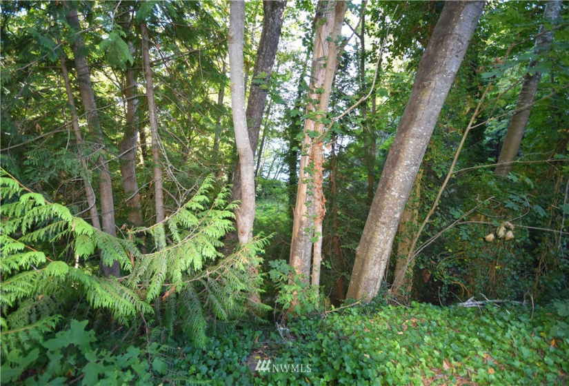 16569 Lemolo Shore, Poulsbo, Washington 98370, ,Land,For Sale,First Addition Lemolo Acres,Lemolo Shore,NWM1834263