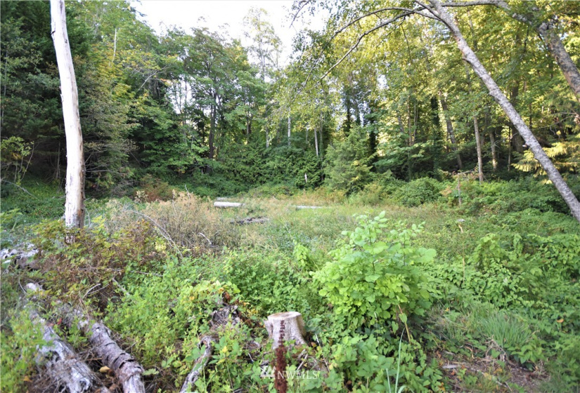 16569 Lemolo Shore, Poulsbo, Washington 98370, ,Land,For Sale,First Addition Lemolo Acres,Lemolo Shore,NWM1834263