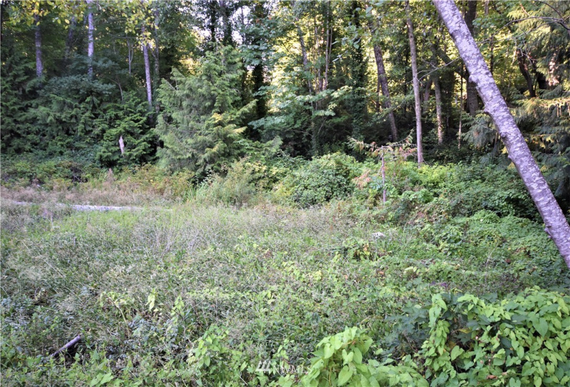 16569 Lemolo Shore, Poulsbo, Washington 98370, ,Land,For Sale,First Addition Lemolo Acres,Lemolo Shore,NWM1834263