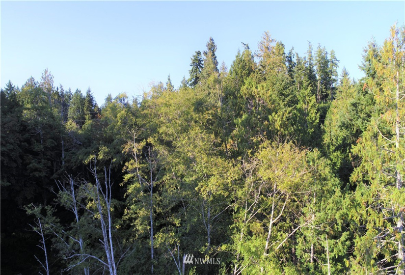 16569 Lemolo Shore, Poulsbo, Washington 98370, ,Land,For Sale,First Addition Lemolo Acres,Lemolo Shore,NWM1834263