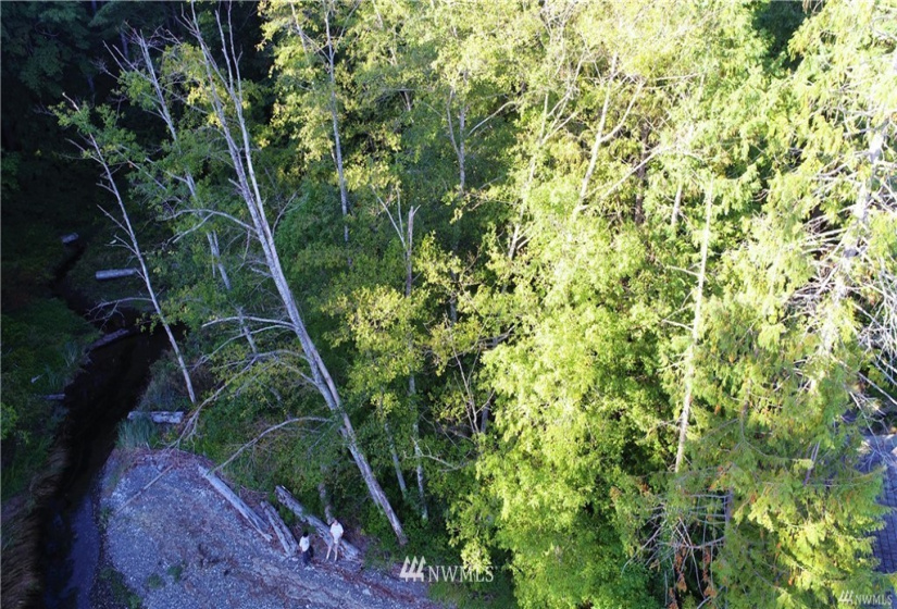 16569 Lemolo Shore, Poulsbo, Washington 98370, ,Land,For Sale,First Addition Lemolo Acres,Lemolo Shore,NWM1834263