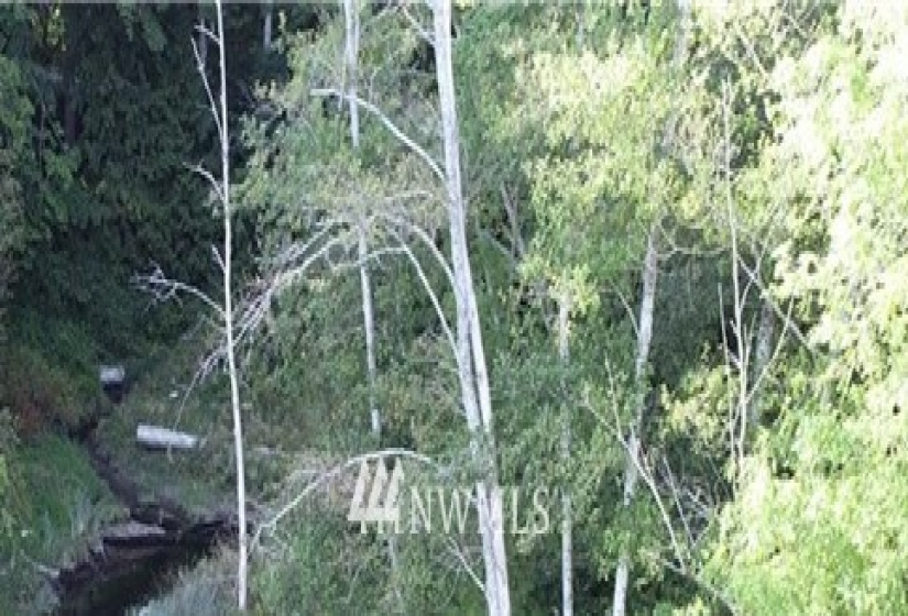 16569 Lemolo Shore, Poulsbo, Washington 98370, ,Land,For Sale,First Addition Lemolo Acres,Lemolo Shore,NWM1834263