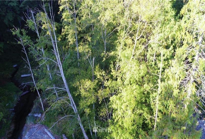 16569 Lemolo Shore, Poulsbo, Washington 98370, ,Land,For Sale,First Addition Lemolo Acres,Lemolo Shore,NWM1834263