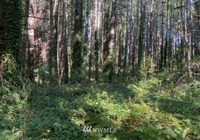 11000 XX State Hwy 305, Bainbridge Island, Washington 98110, ,Land,For Sale,State Hwy 305,NWM1833912