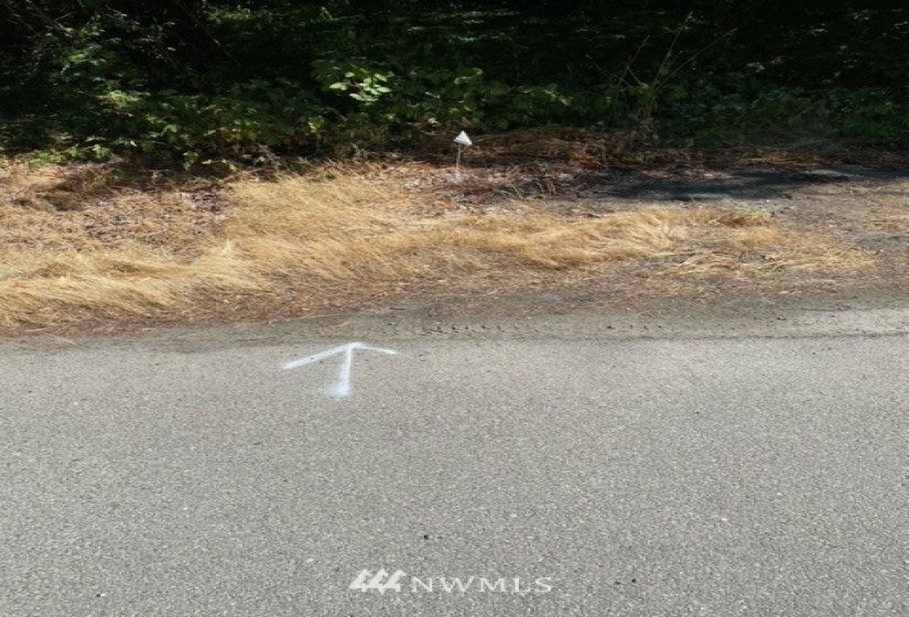 11000 XX State Hwy 305, Bainbridge Island, Washington 98110, ,Land,For Sale,State Hwy 305,NWM1833912