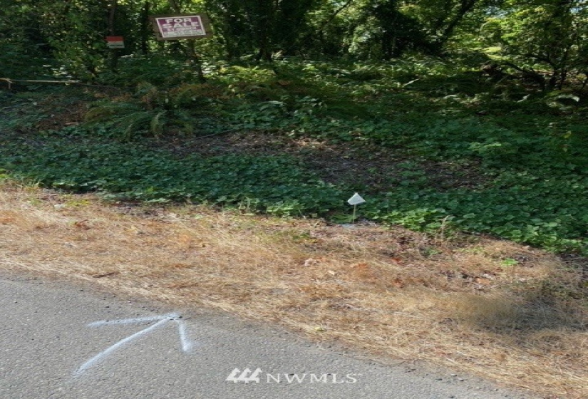 11000 XX State Hwy 305, Bainbridge Island, Washington 98110, ,Land,For Sale,State Hwy 305,NWM1833912